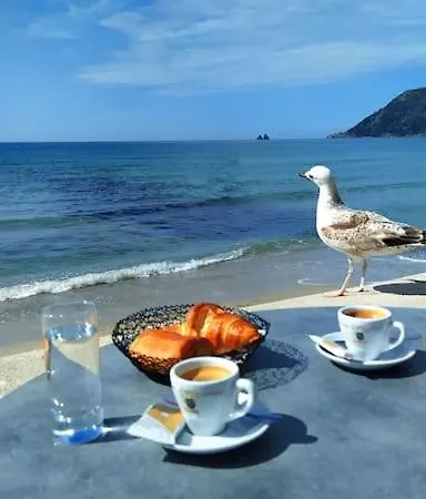Apartament Superbe Avec Echappee Mer
